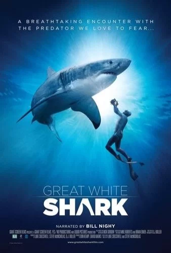 Great White Shark 4K 2013 DOCU