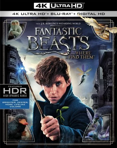 Fantastic Beasts and Where to Find Them 4K 2016