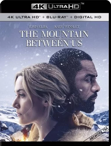 The Mountain Between Us 4K 2017