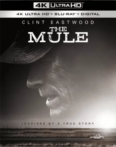 The Mule 4K 2018