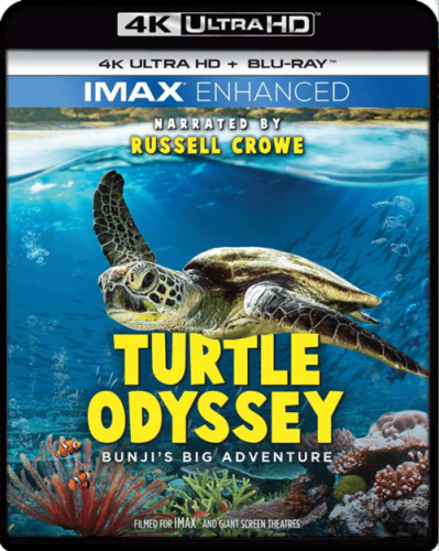 Turtle Odyssey 4K 2019 DOCU