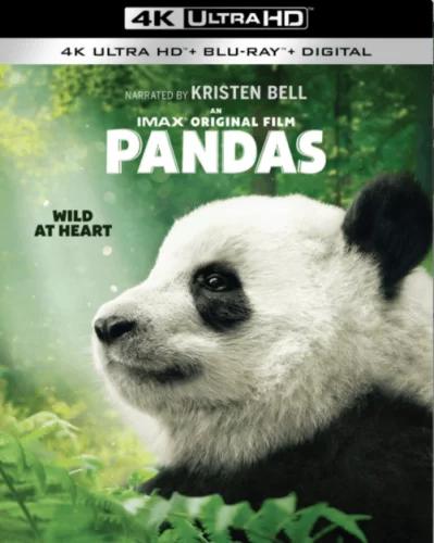 Pandas 4K 2018 DOCU