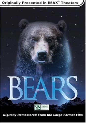 Bears 4K 2004