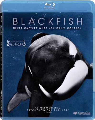 Blackfish 2013