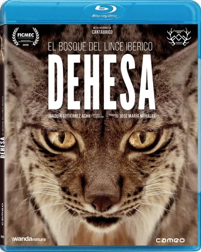 Dehesa, el bosque del lince ibérico 2020