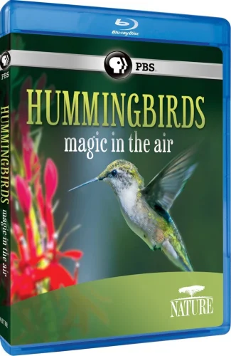 Hummingbirds: Magic in the Air 2010
