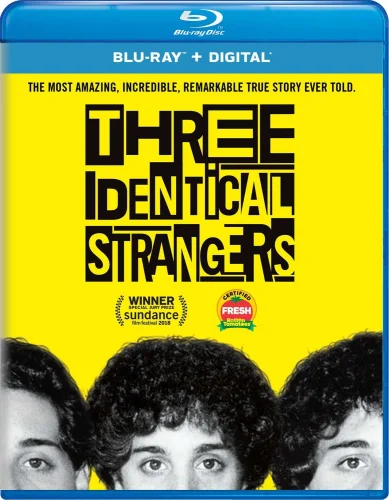 Three Identical Strangers 2018