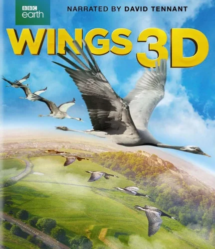 Wings 2014