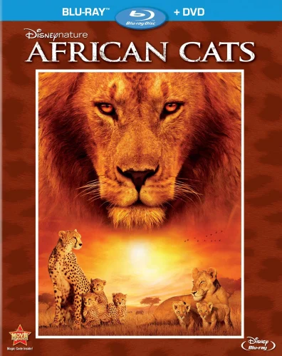 African Cats 2010
