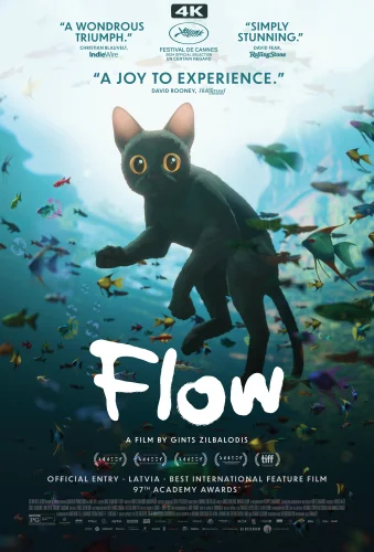 Flow 4K 2024