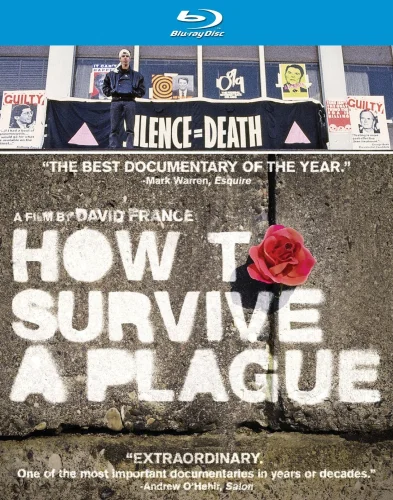 How to Survive a Plague 2012