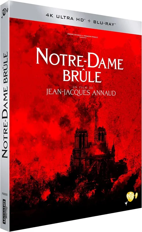 Notre-Dame on Fire 4K 2022